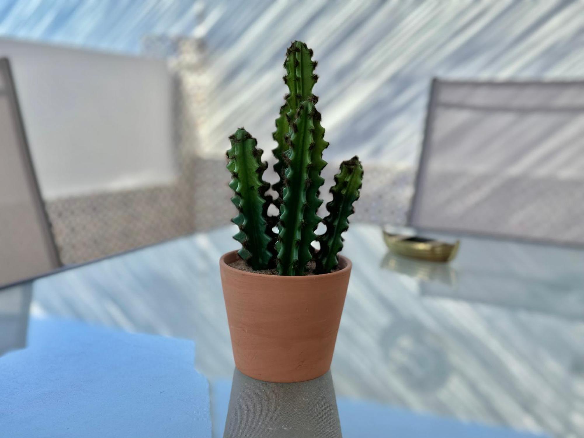Hébergement de vacances Casa Lidia *